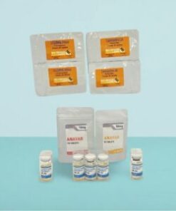 Beginners Weight Loss Cycle