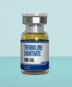 Buy Testosterone Enanthate